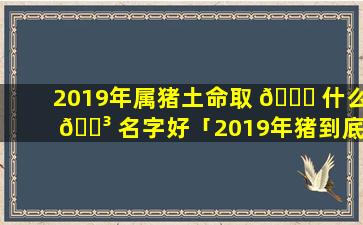 2019年属猪土命取 🍁 什么 🌳 名字好「2019年猪到底是土命还是木命」